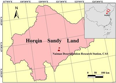 Isolation of Efficient Cellulose Decomposer in Sandy Cropland and Its Application in Straw Turnover in Agro-Pasture Ecotone of Northern China